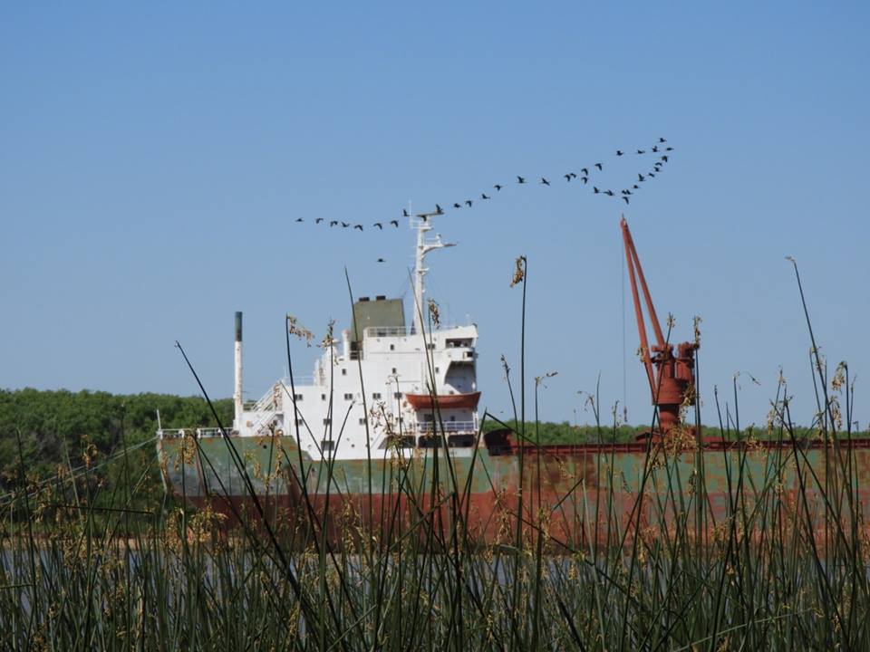Cabañas
