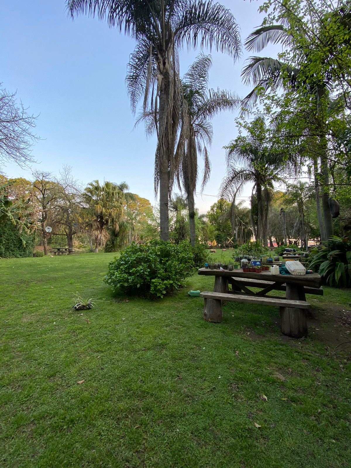 Río Paraná